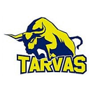 Tarvas/Rakvere